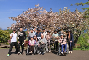 手宮公園 お花見